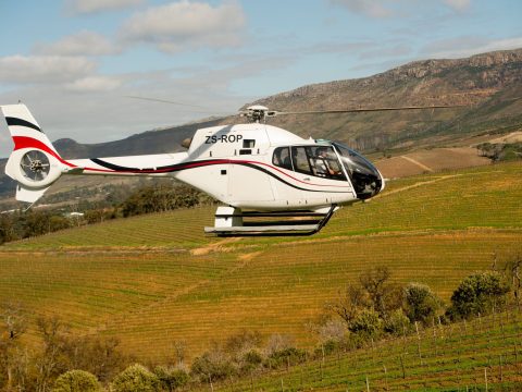 cape peninsula helicopter tour 9