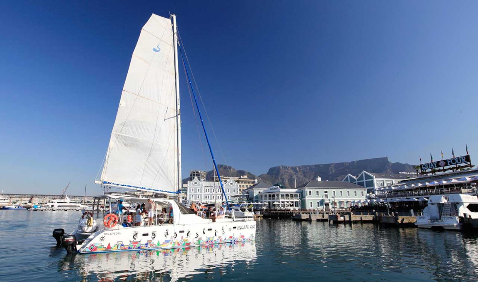 Escape Cat 5 Escape Cat - Image 5