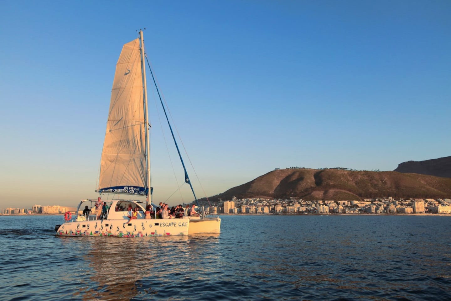 Escape Cat 4 Escape Cat - Image 4